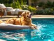 dog swimming pool safety