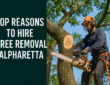 Tree removal