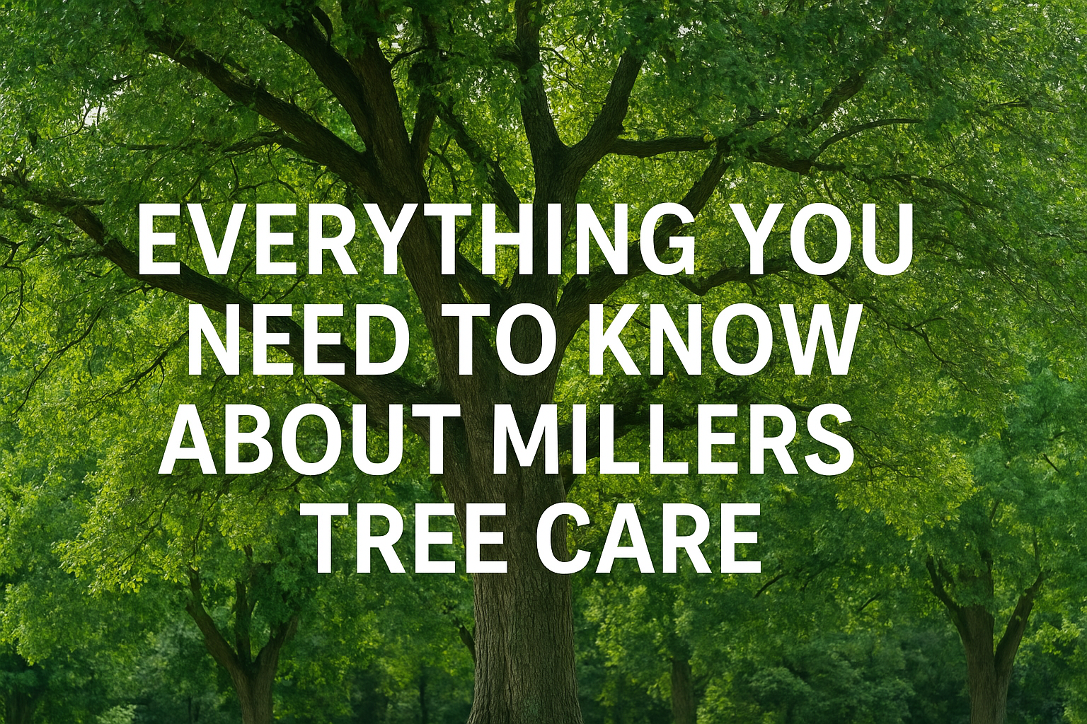 Everything You Need to Know About Millers Tree Care